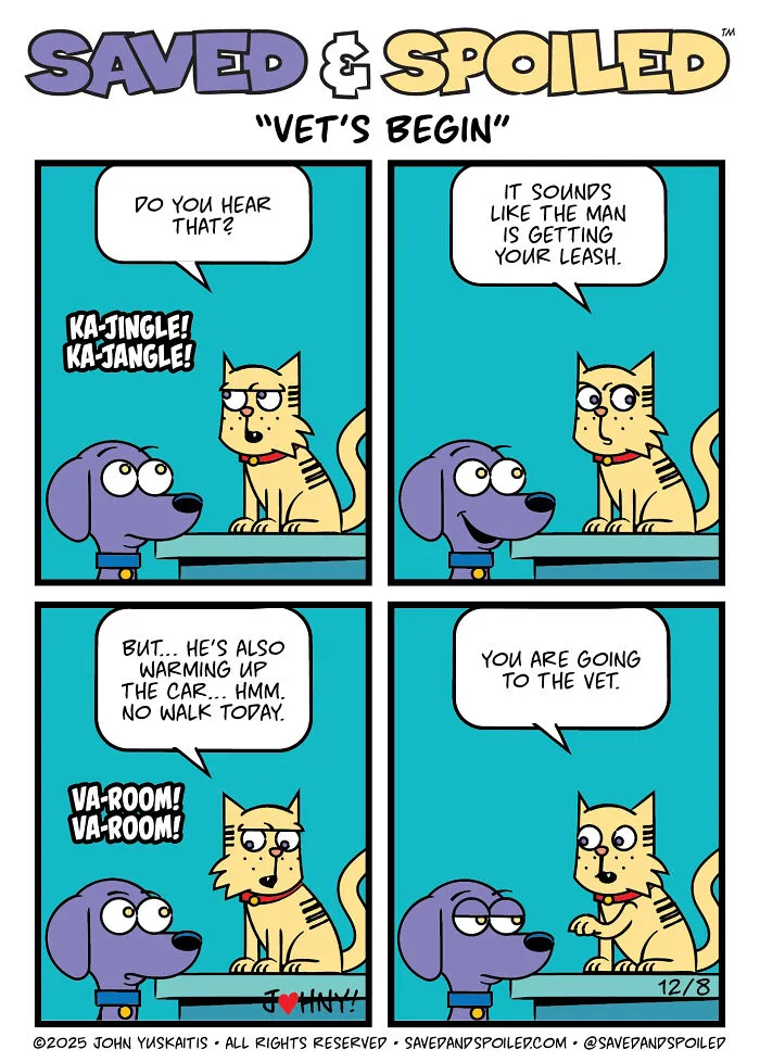 Vet's Begin