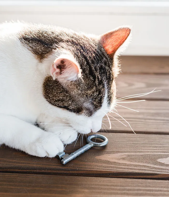 “I Couldn't Stop Laughing”: 47 Weird But Surprisingly True Excuses For Missing Work