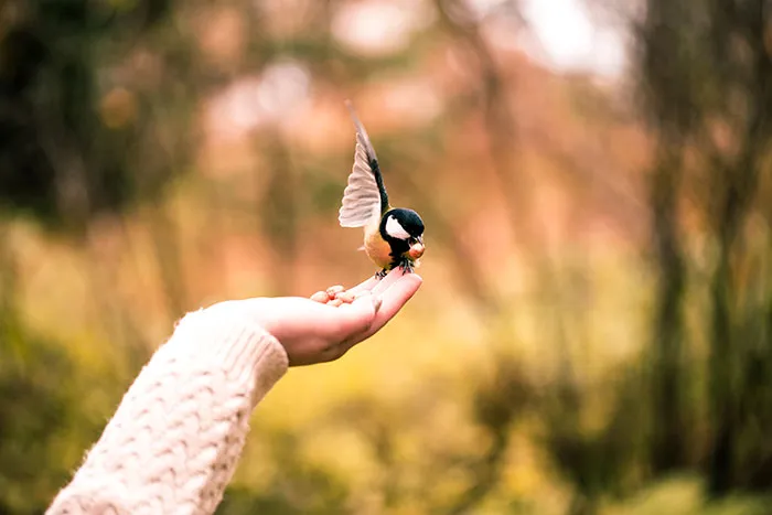 “I Couldn't Stop Laughing”: 47 Weird But Surprisingly True Excuses For Missing Work