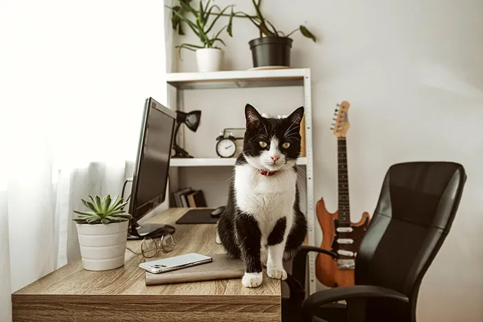 “I Couldn't Stop Laughing”: 47 Weird But Surprisingly True Excuses For Missing Work