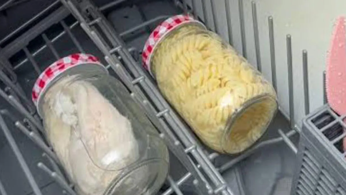 People Keep Sharing Their Cooking In The Dishwasher, It Confuses And Disgusts The Internet