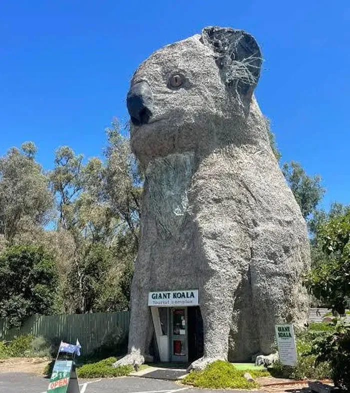 Australia. He Is Beloved Tho!!