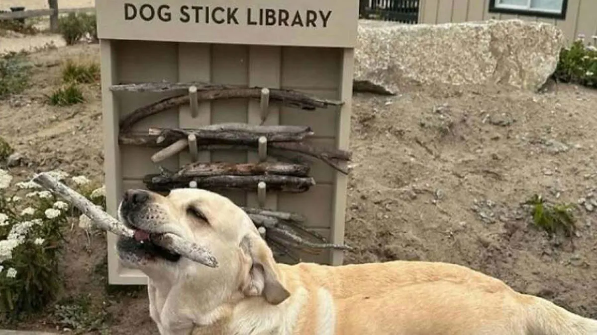 If You’re Not In A Festive Mood, These 103 Cute And Funny Animals Might Brighten Your Day