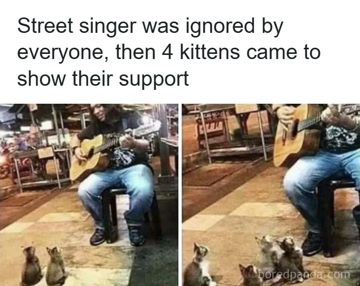 If You’re Not In A Festive Mood, These 103 Cute And Funny Animals Might Brighten Your Day
