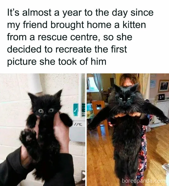 If You Are Having A Bad Day, These 67 Wholesome Memes Might Be Exactly What You Need (New Pics)