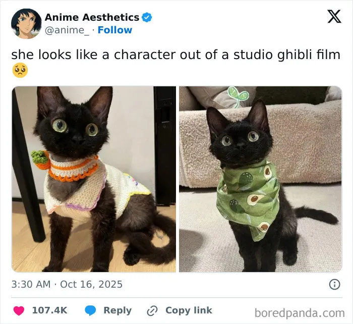 If You Are Having A Bad Day, These 67 Wholesome Memes Might Be Exactly What You Need (New Pics)