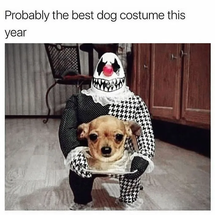 50 Goth Memes That Prove Humor Can Be As Dark As Your Wardrobe
