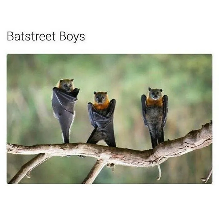 50 Goth Memes That Prove Humor Can Be As Dark As Your Wardrobe