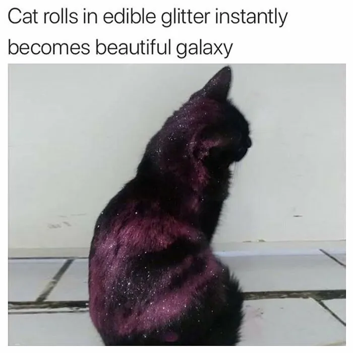50 Goth Memes That Prove Humor Can Be As Dark As Your Wardrobe
