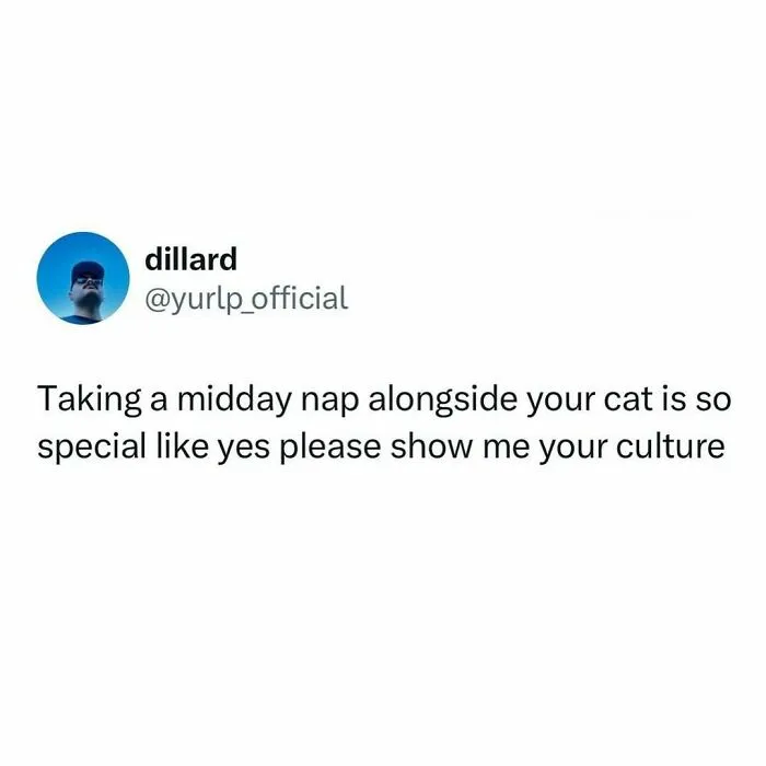 Text meme about taking a midday nap with a cat, highlighting the weird little guy behavior of cats.