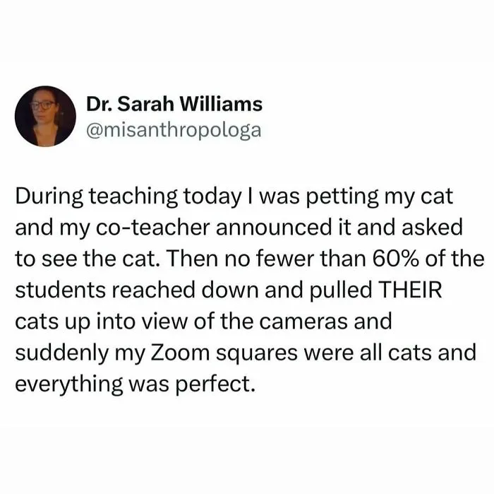 Tweet about students showing their cats on Zoom, capturing cats being weird little guys in a funny virtual classroom moment.