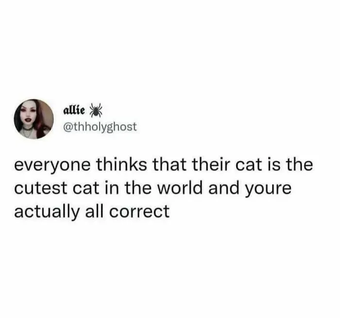 Funny cat meme text about everyone thinking their cat is the cutest, fitting weird little guys cat humor.