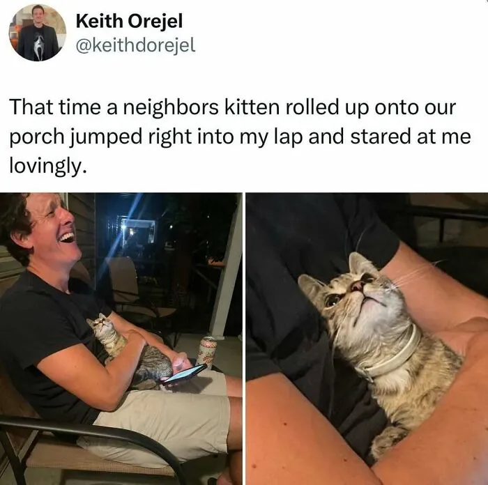 Man sitting on porch holding a weird little guy cat that jumped into his lap and stared at him lovingly at night