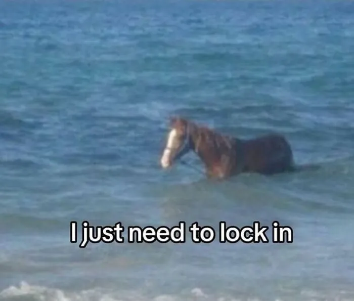 Horse standing in the ocean with caption I just need to lock in, a funny unhinged meme from Grapejuiceboys.