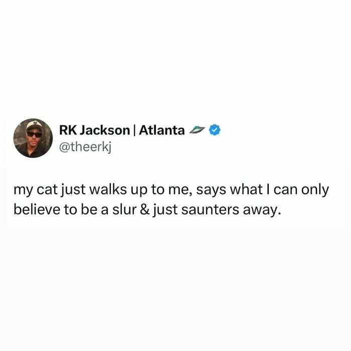 Tweet about a cat acting weird and walking away after saying something that sounds like a slur, showcasing cats being weird little guys.