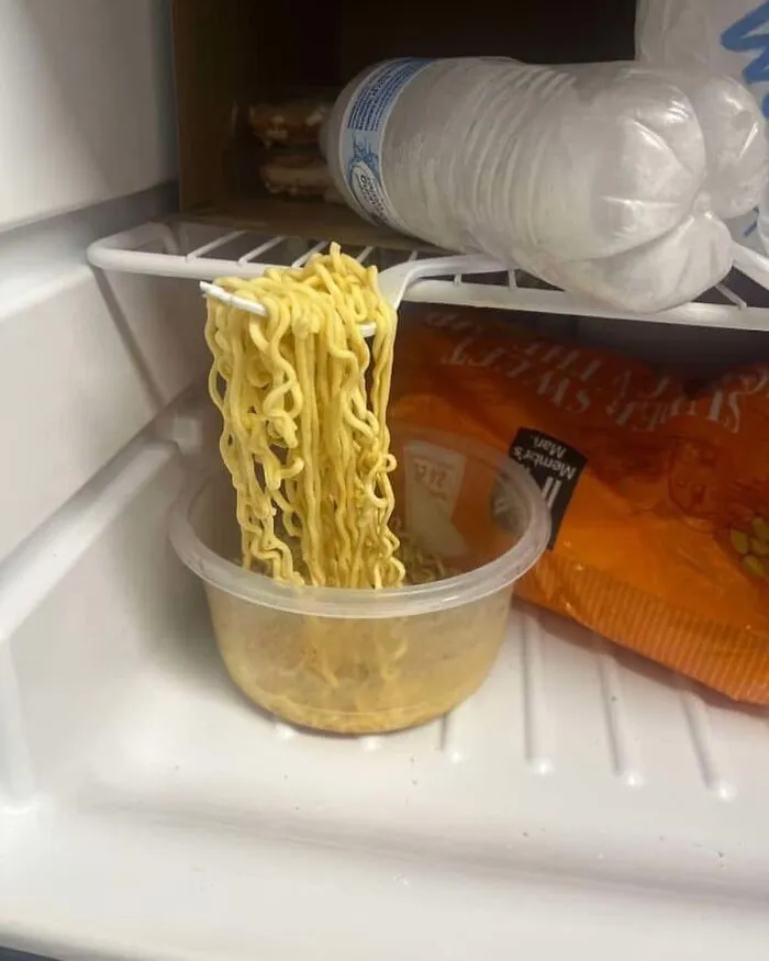 45 Hilariously Unhinged “Dude Fridges” (New Pics)