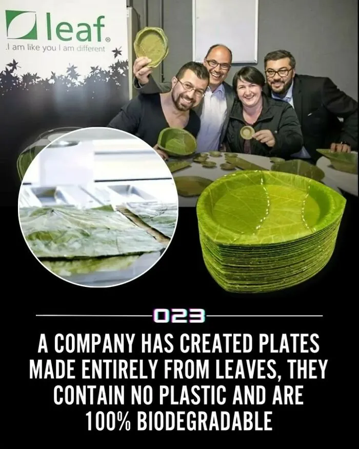92 Wholesome Facts That You Probably Didn't Know But Should