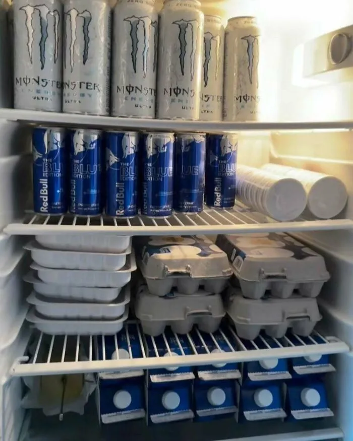 45 Hilariously Unhinged “Dude Fridges” (New Pics)