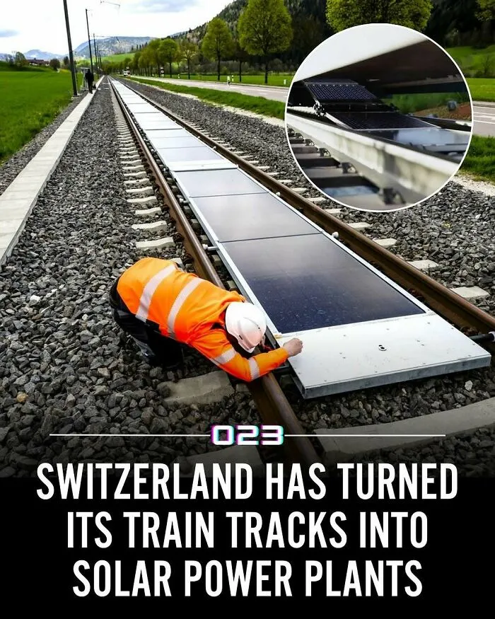 92 Wholesome Facts That You Probably Didn't Know But Should