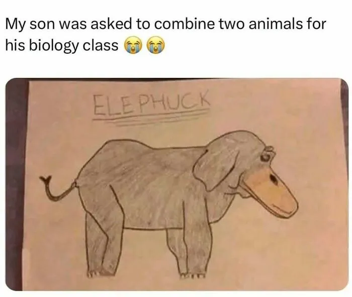 50 Hilarious Memes That Instantly Lift The Mood
