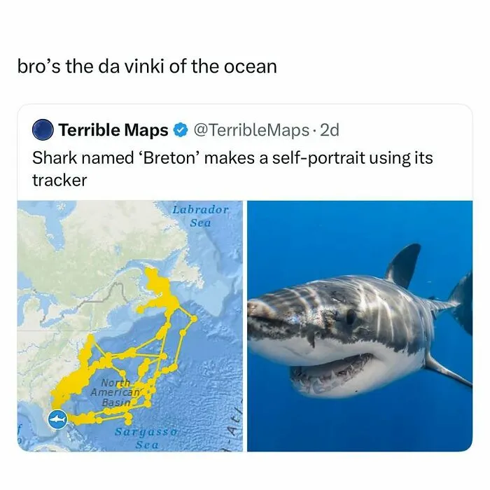 Shark named Breton creates a self-portrait using a tracker, showcasing a funny and wholesome animal moment.