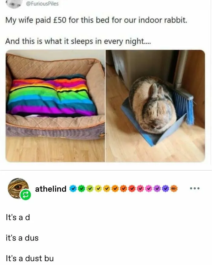 A Look Back At 2025 Through 91 Of The Funniest And Most Heartwarming Animal Memes