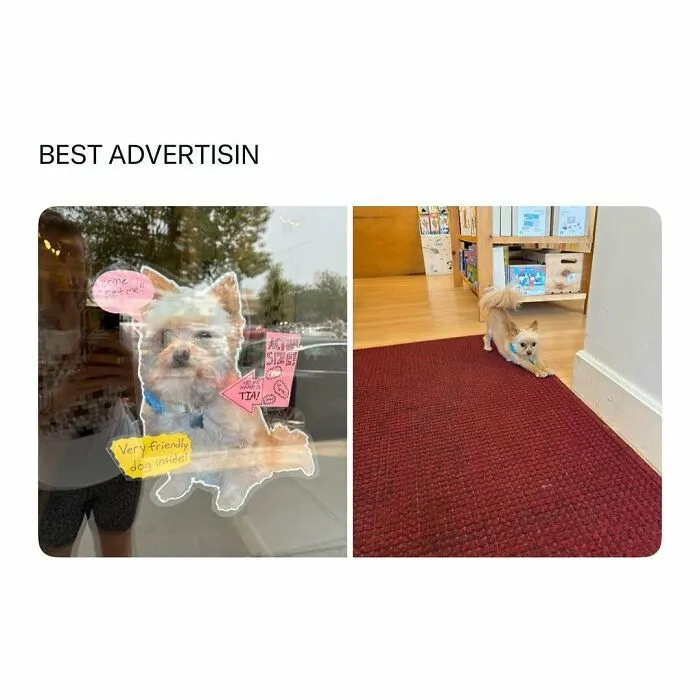 Sticker of a friendly dog on a glass door and a small dog stretching on a red carpet inside a room.