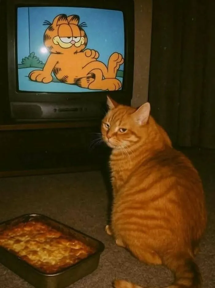 37 Cats And Dogs Caught Being Unreasonably Cute For Absolutely No Reason