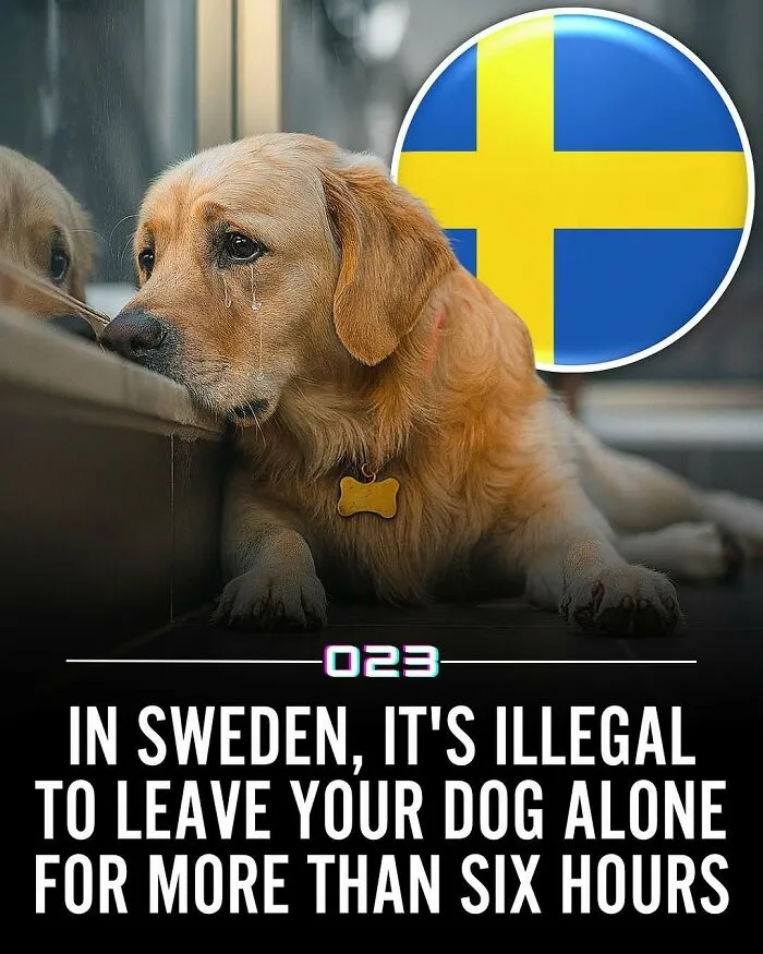 92 Wholesome Facts That You Probably Didn't Know But Should