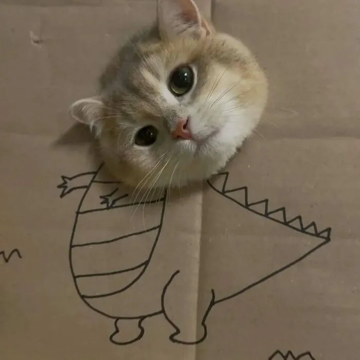 37 Cats And Dogs Caught Being Unreasonably Cute For Absolutely No Reason