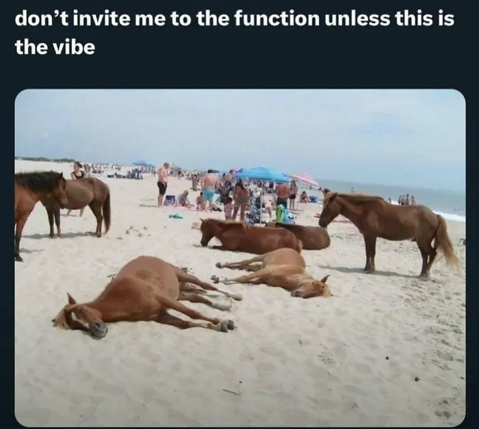 120 Wholesome And Funny Animal Memes To Help You Ignore The Chaos Happening In The World Right Now