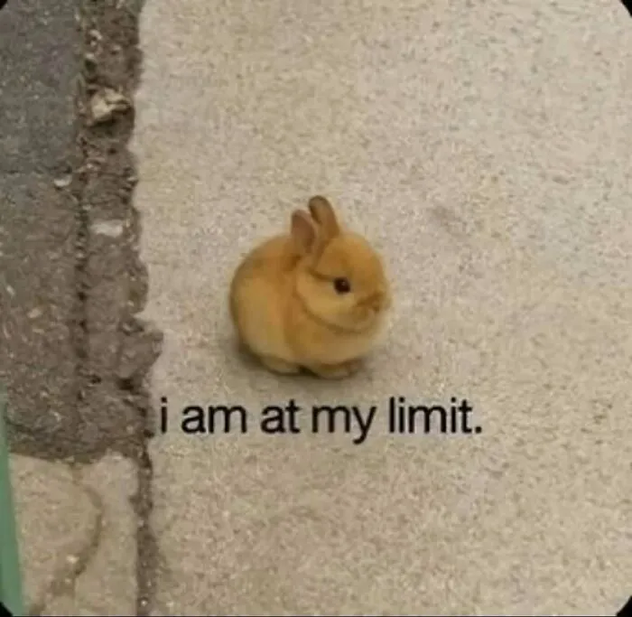 120 Wholesome And Funny Animal Memes To Help You Ignore The Chaos Happening In The World Right Now