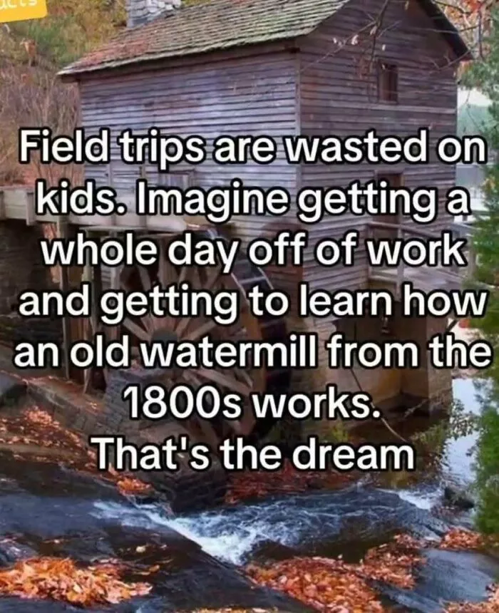 50 Hilarious Memes That Instantly Lift The Mood
