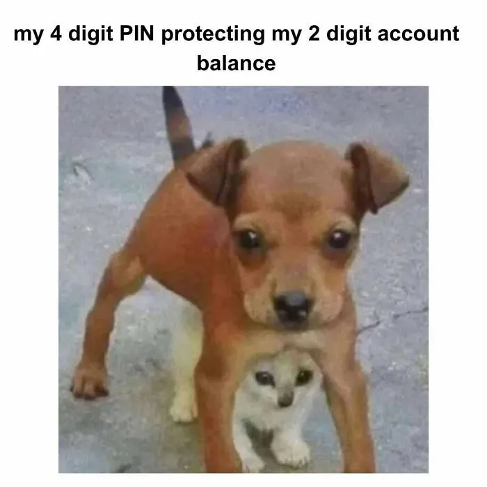 50 Hilarious Memes That Instantly Lift The Mood
