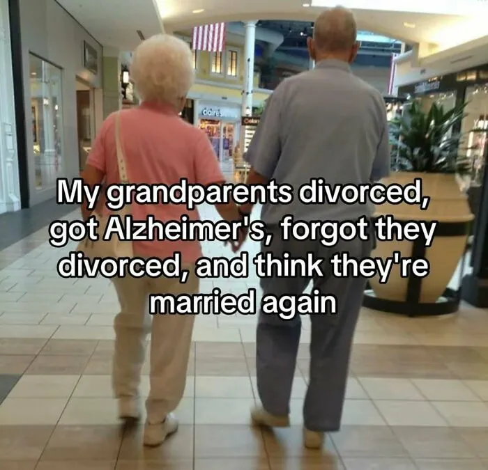 50 Hilarious Memes That Instantly Lift The Mood