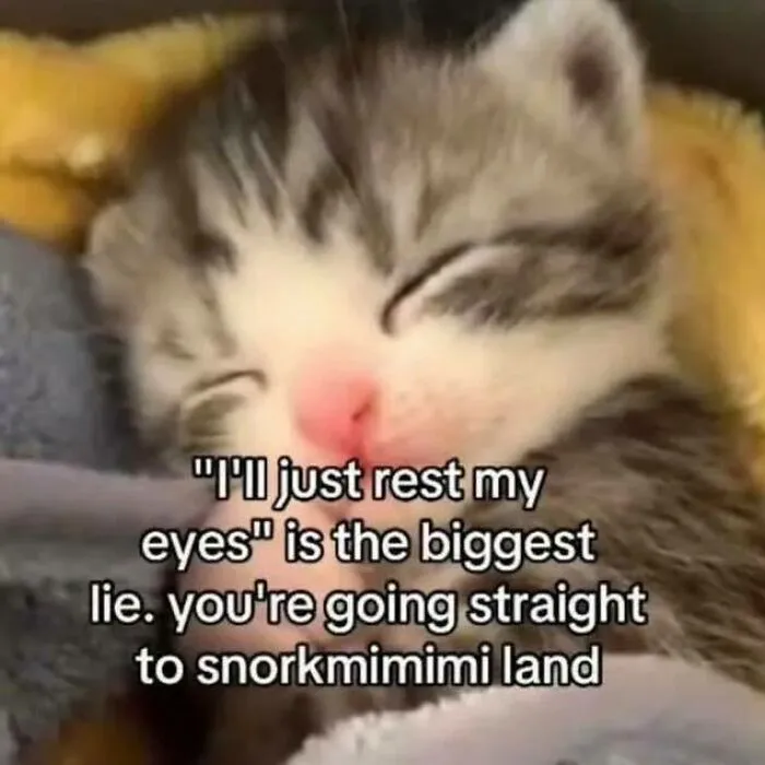 50 Hilarious Memes That Instantly Lift The Mood