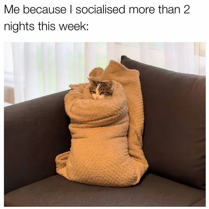 92 Hilarious Memes For You To Scroll Through While You Wait For Your Therapist To Come Back From Holiday (New Pics)