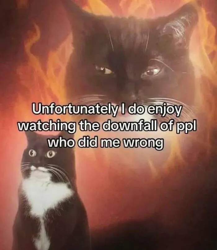 50 Hilarious Memes That Instantly Lift The Mood