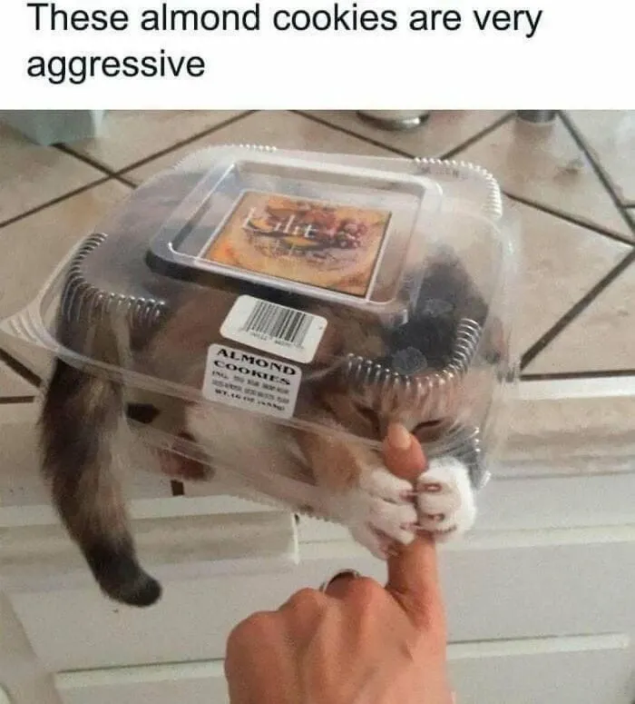 Laugh Away Life's Woes With 110 Memes That You Might Relate To (New Pics)