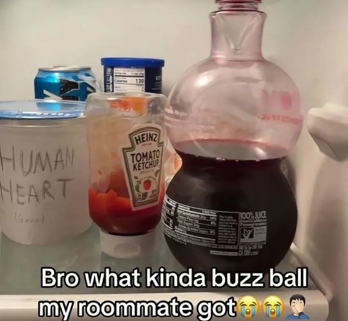 45 Hilariously Unhinged “Dude Fridges” (New Pics)
