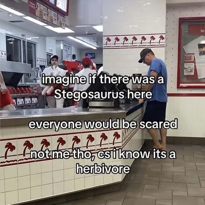 50 Memes So Absurd They’re Borderline Performance Art