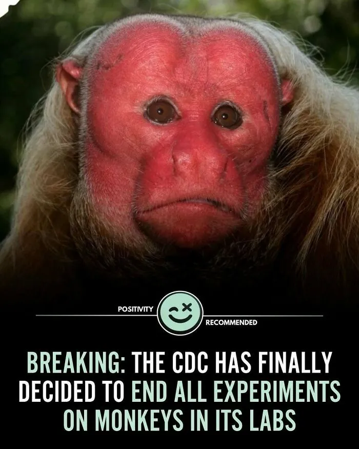 92 Wholesome Facts That You Probably Didn't Know But Should