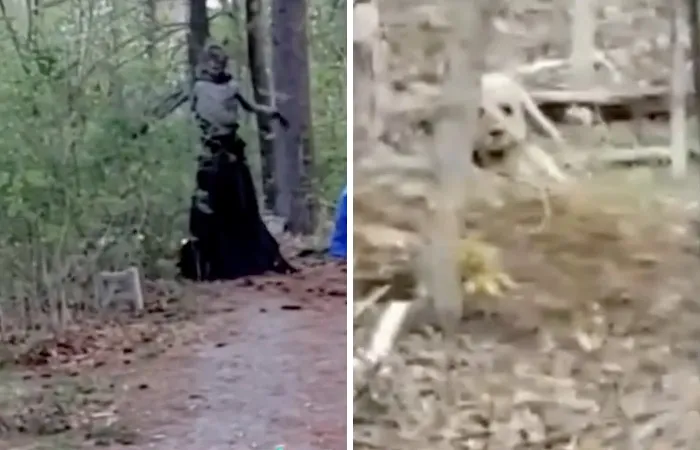 Skinwalker Witch of the Navajo (US, Ancient Legend)