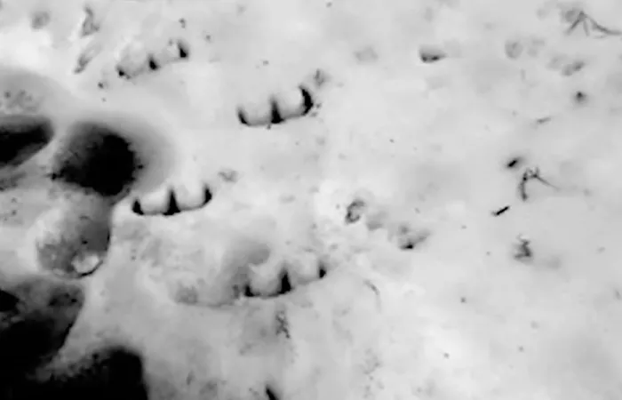 Devil’s Footprints (UK, 1855)