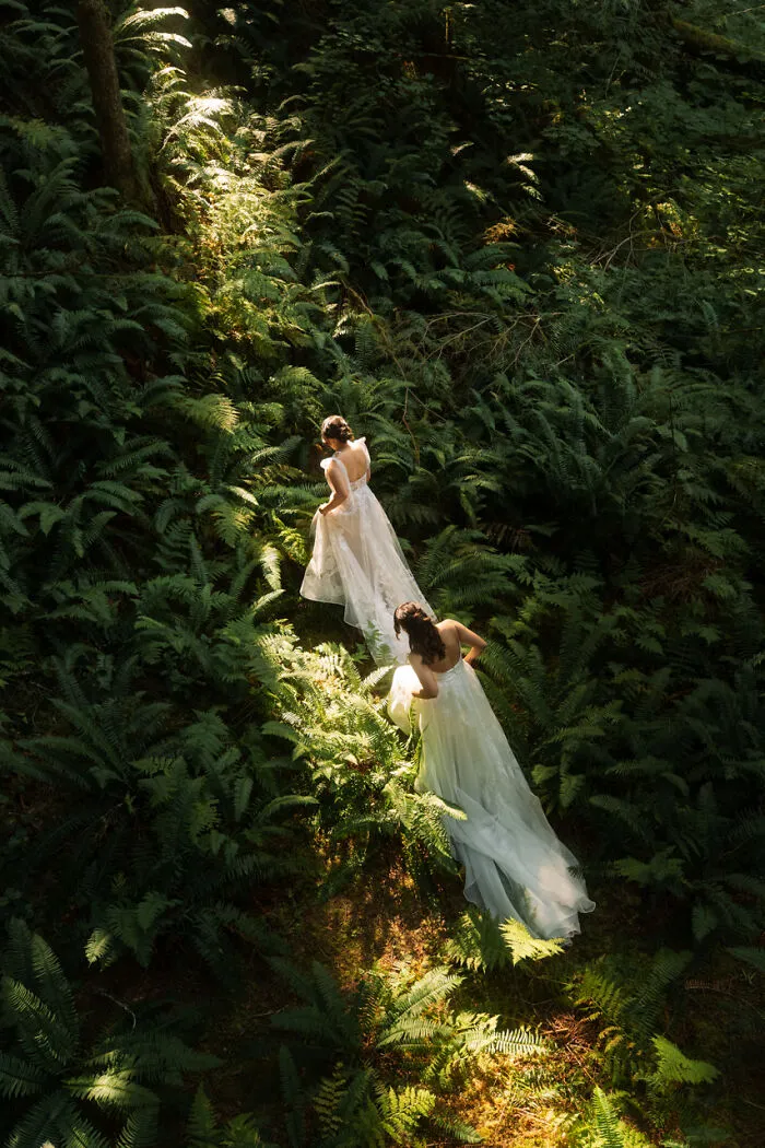 Image By Henry Tieu Of Henry Tieu Photography Taken In Mount Baker-Snoqualmie National Forest, Wa, USA