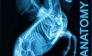 I Re-Imagined 8 Mythical Creatures As Real Biological Animals Using Forensics, And The Results Are Terrifyingly Realistic