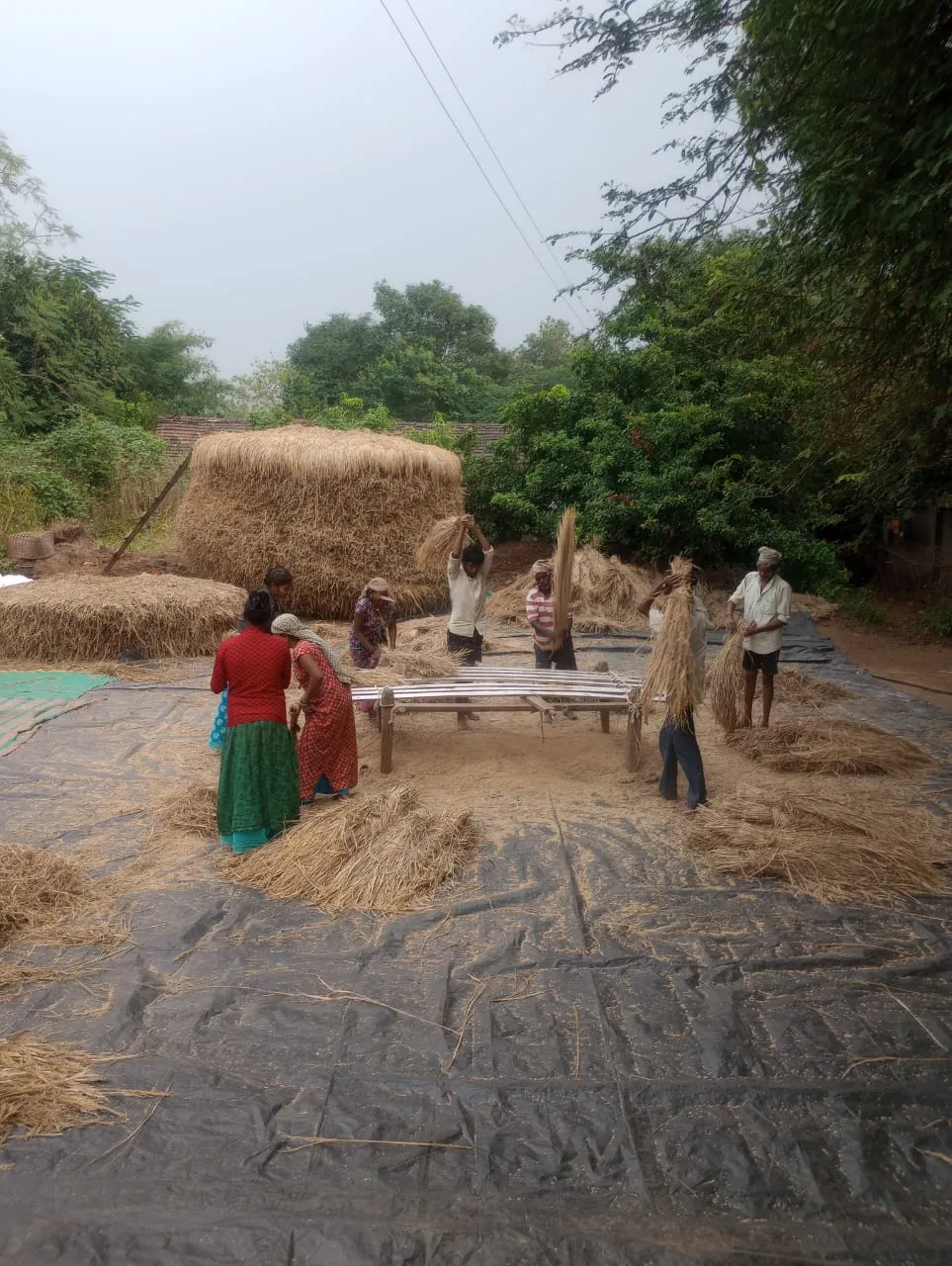 Village Life 1
