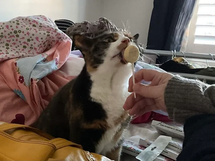 Bushka’s After Shopping Treat For Being Gorgeous