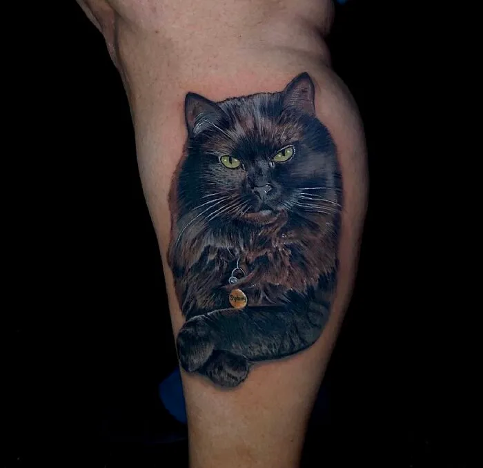 Catitude In One Swipe