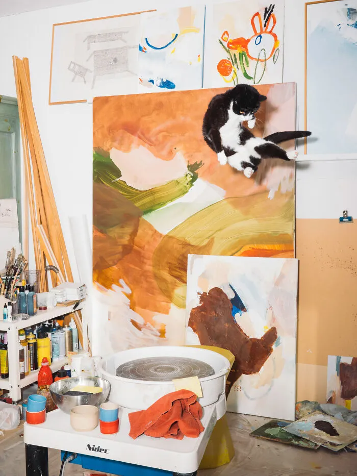 Jumping Cats By Koekkoek (7 Pics)